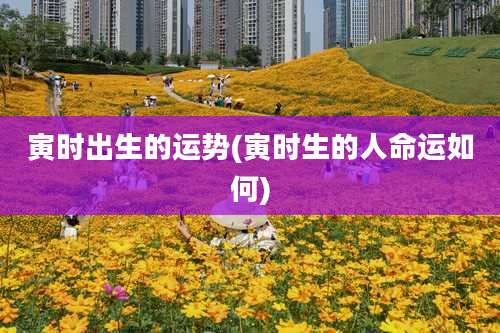 寅时出生的运势(寅时生的人命运如何)