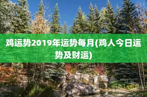 鸡运势2019年运势每月(鸡人今日运势及财运)