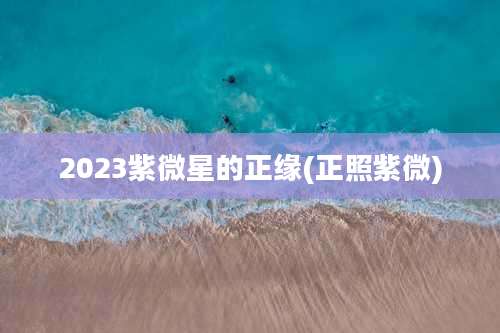 2023紫微星的正缘(正照紫微)
