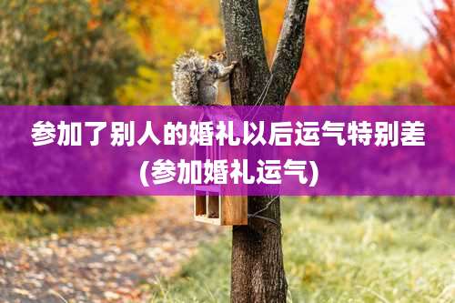 参加了别人的婚礼以后运气特别差(参加婚礼运气)