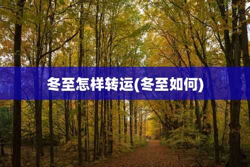 冬至怎样转运(冬至如何)