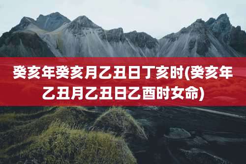 癸亥年癸亥月乙丑日丁亥时(癸亥年乙丑月乙丑日乙酉时女命)