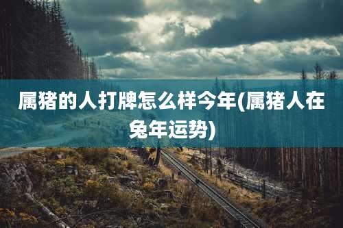 属猪的人打牌怎么样今年(属猪人在兔年运势)
