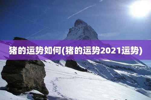 猪的运势如何(猪的运势2021运势)