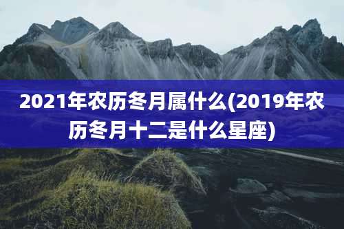 2021年农历冬月属什么(2019年农历冬月十二是什么星座)