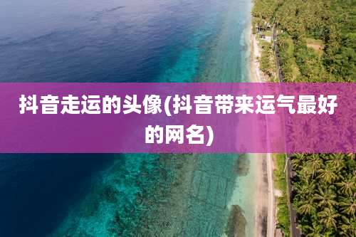 抖音走运的头像(抖音带来运气最好的网名)