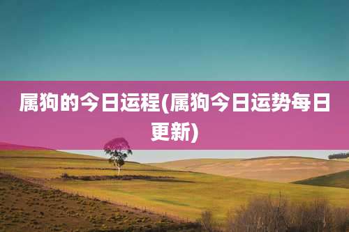 属狗的今日运程(属狗今日运势每日更新)