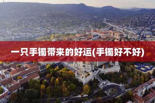 一只手镯带来的好运(手镯好不好)
