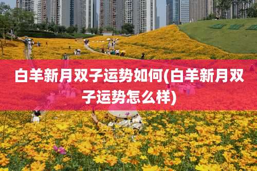 白羊新月双子运势如何(白羊新月双子运势怎么样)