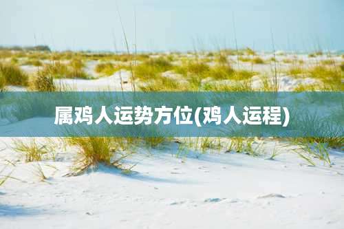 属鸡人运势方位(鸡人运程)