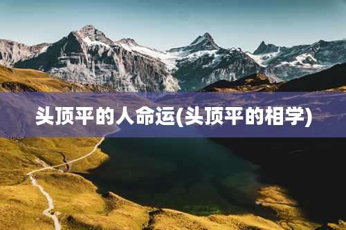 头顶平的人命运(头顶平的相学)