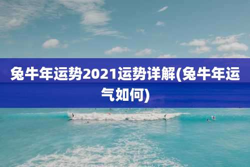 兔牛年运势2021运势详解(兔牛年运气如何)
