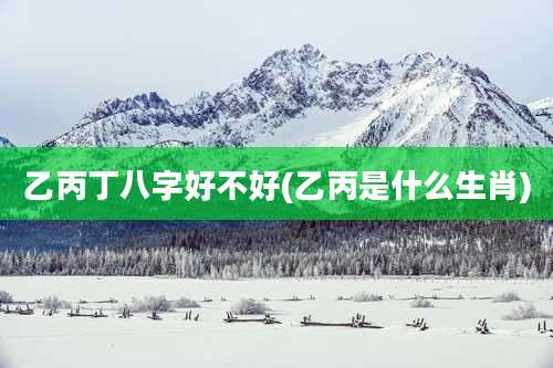 乙丙丁八字好不好(乙丙是什么生肖)