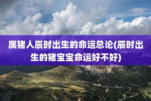 属猪人辰时出生的命运总论(辰时出生的猪宝宝命运好不好)
