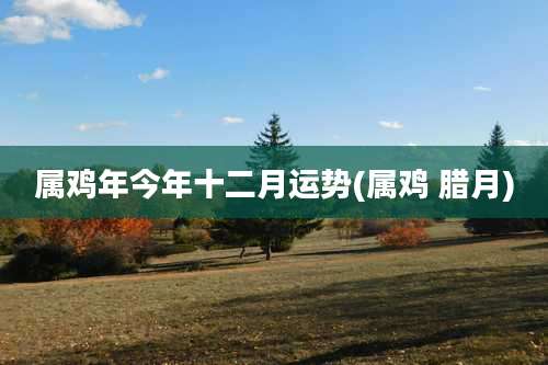 属鸡年今年十二月运势(属鸡 腊月)