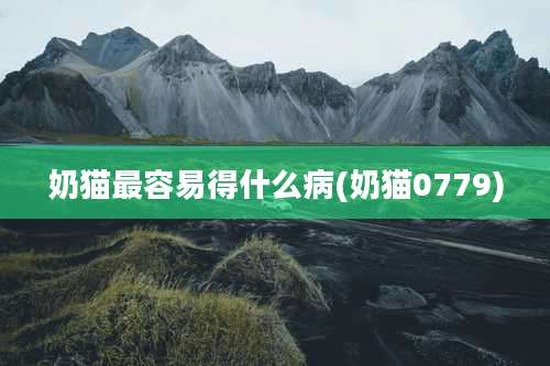 奶猫最容易得什么病(奶猫0779)
