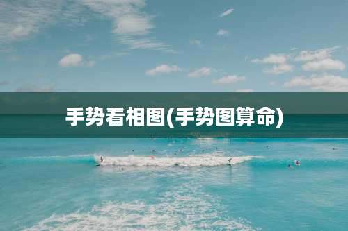 手势看相图(手势图算命)