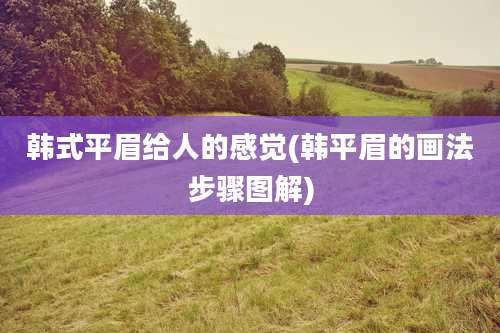 韩式平眉给人的感觉(韩平眉的画法步骤图解)
