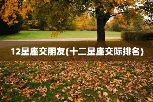 12星座交朋友(十二星座交际排名)