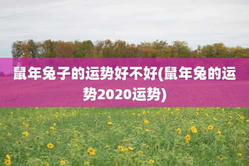 鼠年兔子的运势好不好(鼠年兔的运势2020运势)