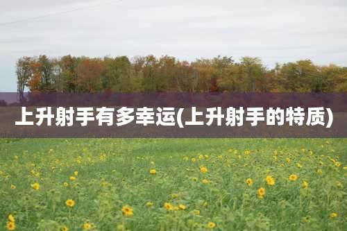 上升射手有多幸运(上升射手的特质)