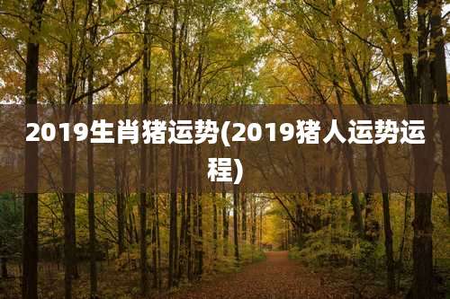 2019生肖猪运势(2019猪人运势运程)