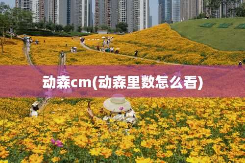 动森cm(动森里数怎么看)