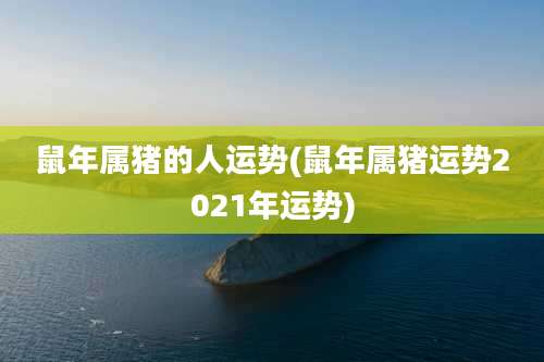 鼠年属猪的人运势(鼠年属猪运势2021年运势)
