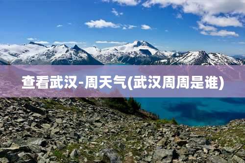 查看武汉-周天气(武汉周周是谁)