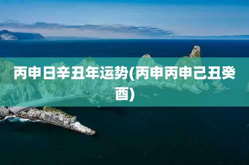 丙申日辛丑年运势(丙申丙申己丑癸酉)