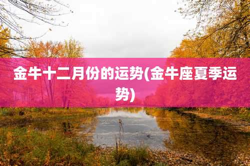 金牛十二月份的运势(金牛座夏季运势)