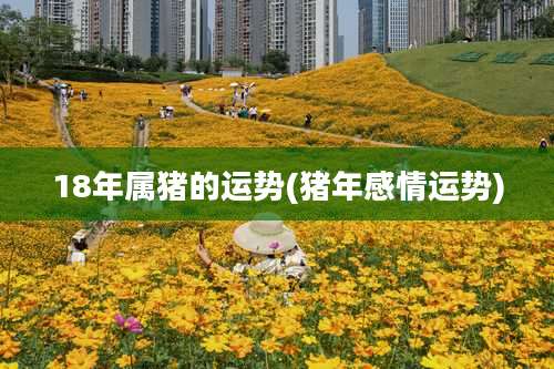 18年属猪的运势(猪年感情运势)