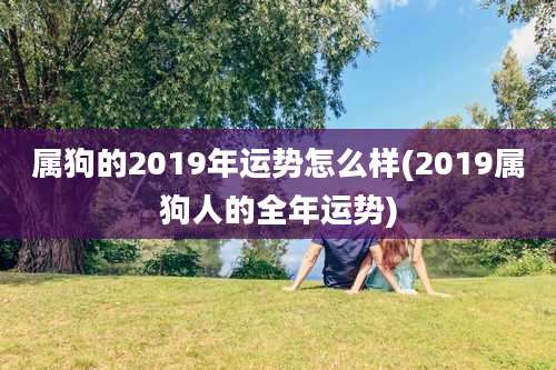 属狗的2019年运势怎么样(2019属狗人的全年运势)