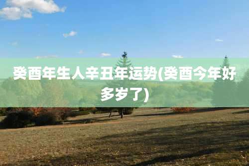 癸酉年生人辛丑年运势(癸酉今年好多岁了)