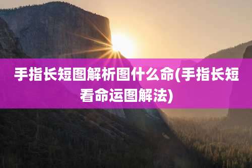 手指长短图解析图什么命(手指长短看命运图解法)