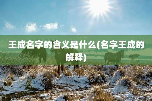 王成名字的含义是什么(名字王成的解释)