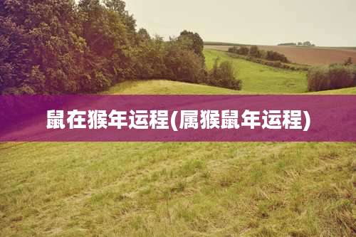 鼠在猴年运程(属猴鼠年运程)