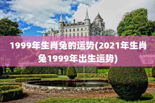 1999年生肖兔的运势(2021年生肖兔1999年出生运势)