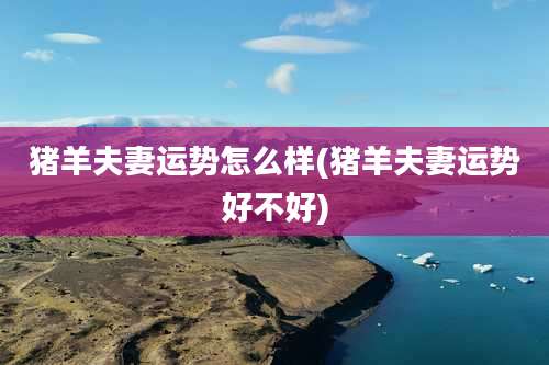 猪羊夫妻运势怎么样(猪羊夫妻运势好不好)