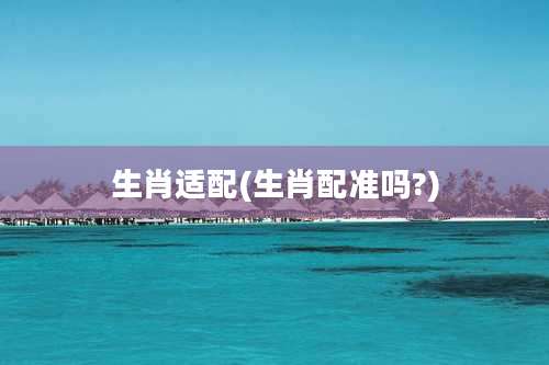 生肖适配(生肖配准吗?)