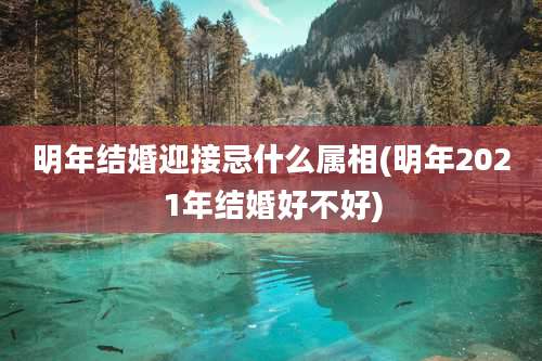 明年结婚迎接忌什么属相(明年2021年结婚好不好)