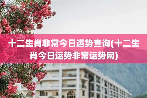 十二生肖非常今日运势查询(十二生肖今日运势非常运势网)