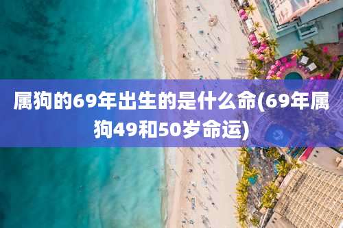 属狗的69年出生的是什么命(69年属狗49和50岁命运)
