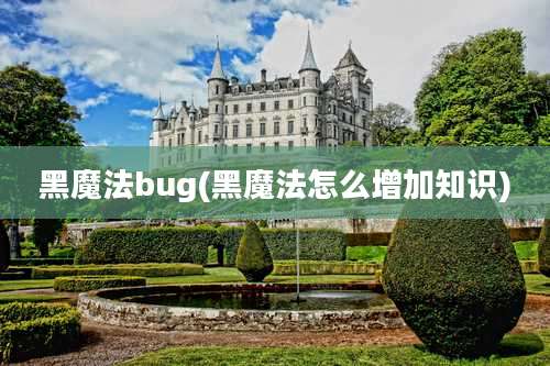 黑魔法bug(黑魔法怎么增加知识)