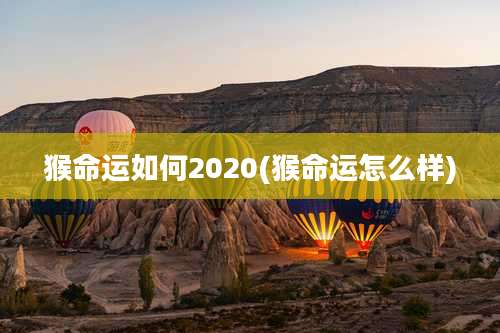 猴命运如何2020(猴命运怎么样)