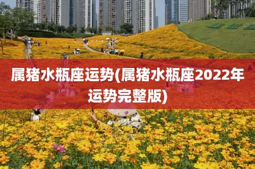 属猪水瓶座运势(属猪水瓶座2022年运势完整版)