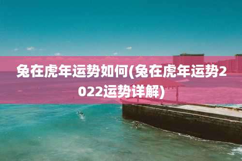 兔在虎年运势如何(兔在虎年运势2022运势详解)