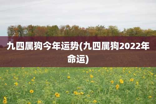 九四属狗今年运势(九四属狗2022年命运)
