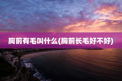 胸前有毛叫什么(胸前长毛好不好)