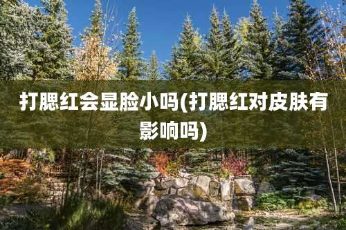 打腮红会显脸小吗(打腮红对皮肤有影响吗)